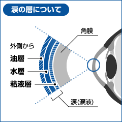 涙(涙液)の層について